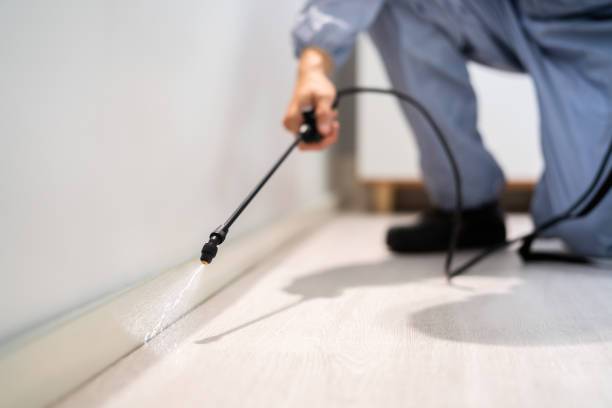 Professional exterminator conducting IPM assessment in Farmersville